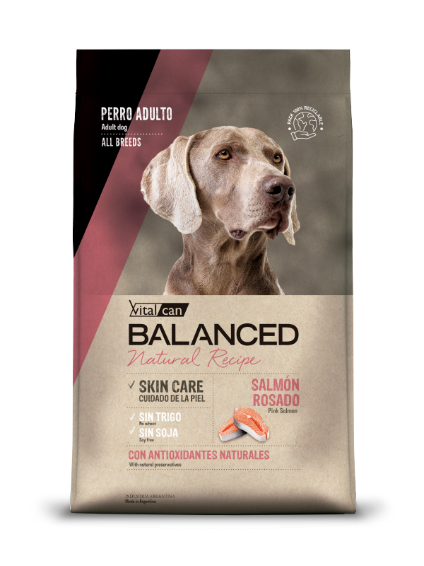 Balanced Natural Recipe Salmon Perro 15kgs